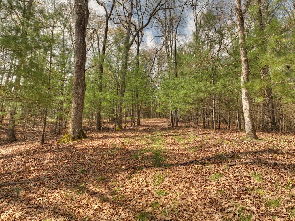 262 Dial Road Blue Ridge, GA 30513 - Photo 48 of 71 Beautiful Acreage