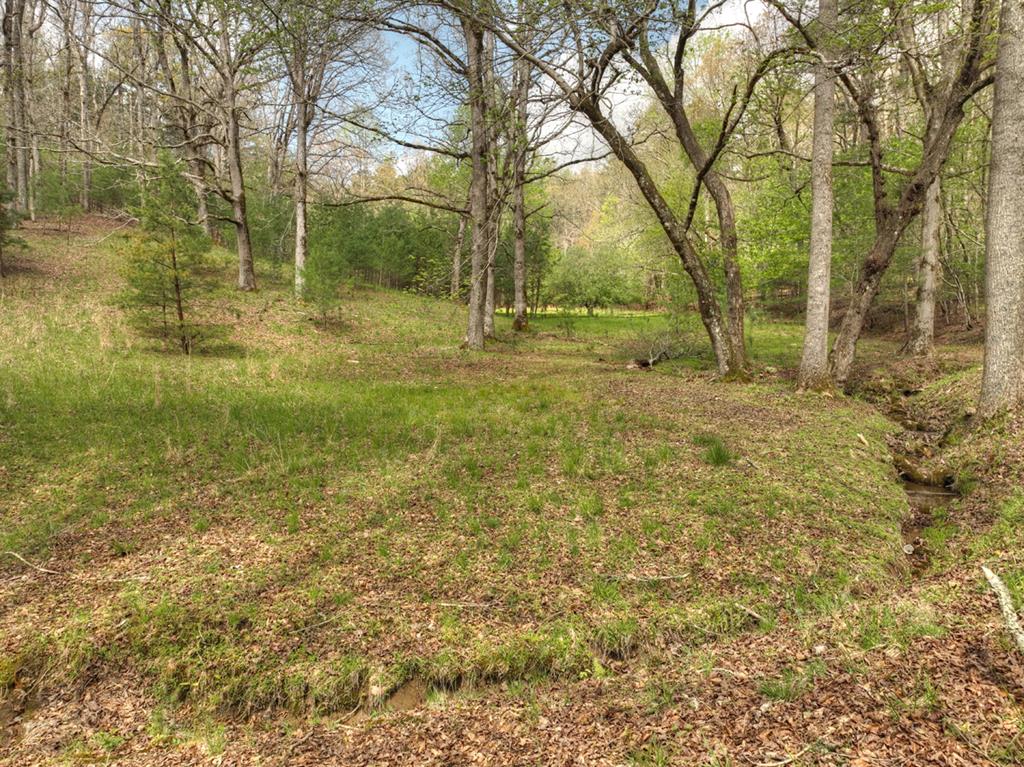 262 Dial Road Blue Ridge, GA 30513 - Photo 50 of 71 Small Stream