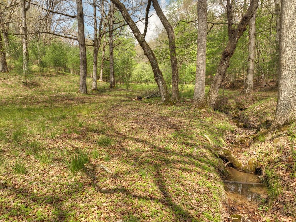 262 Dial Road Blue Ridge, GA 30513 - Photo 52 of 71 Small Stream