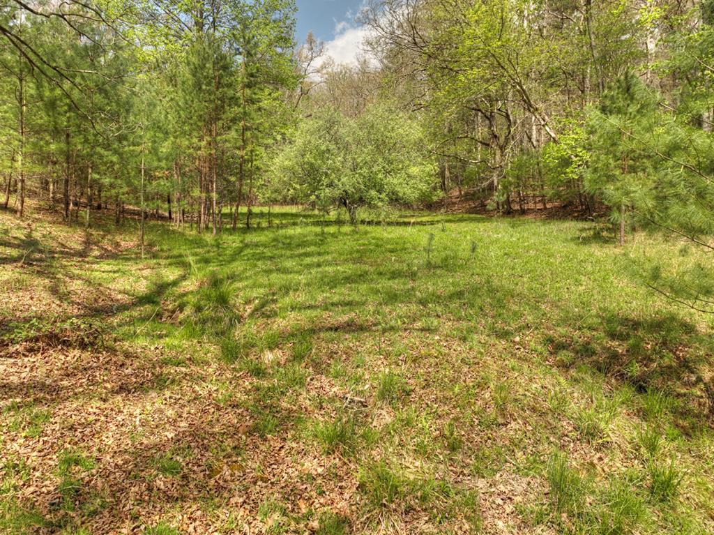 262 Dial Road Blue Ridge, GA 30513 - Photo 54 of 71 Peaceful Acreage