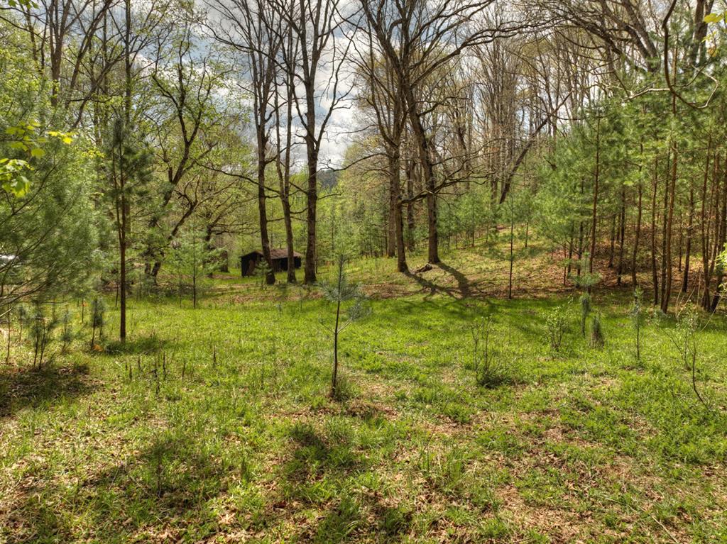 262 Dial Road Blue Ridge, GA 30513 - Photo 56 of 71 Deep Valley