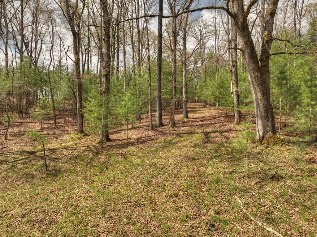 262 Dial Road Blue Ridge, GA 30513 - Photo 59 of 71 Level Acreage