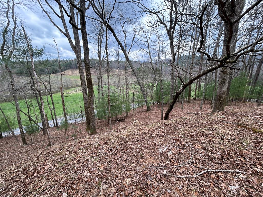 262 Dial Road Blue Ridge, GA 30513 - Photo 6 of 71 View from Knoll on Acreage
