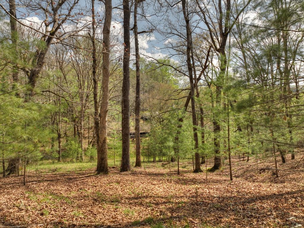 262 Dial Road Blue Ridge, GA 30513 - Photo 61 of 71 Peaceful Old Homestead