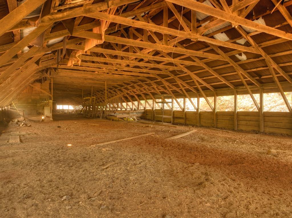 262 Dial Road Blue Ridge, GA 30513 - Photo 63 of 71 Abandon Chicken House Interior