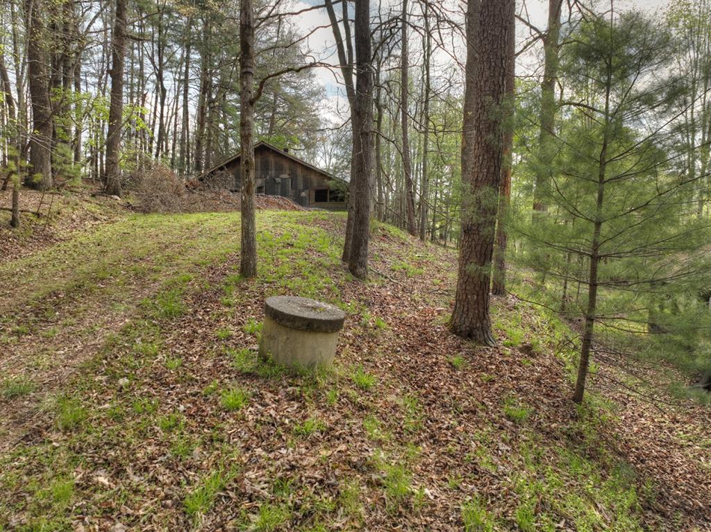 262 Dial Road Blue Ridge, GA 30513 - Photo 65 of 71 Old Well on property