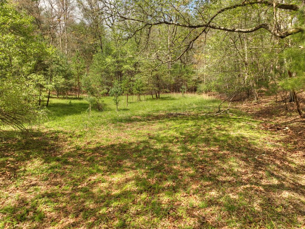 262 Dial Road Blue Ridge, GA 30513 - Photo 68 of 71 Beautiful Acreage