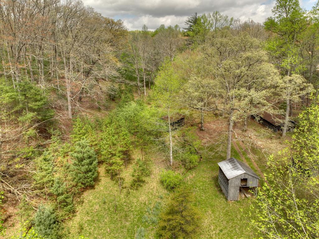 262 Dial Road Blue Ridge, GA 30513 - Photo 7 of 71 Ariel of Acreage