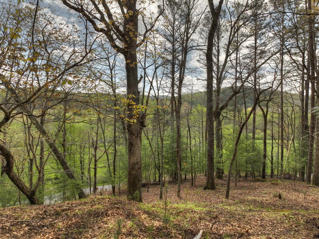 262 Dial Road Blue Ridge, GA 30513 - Photo 10 of 71 Views from Knoll on Property
