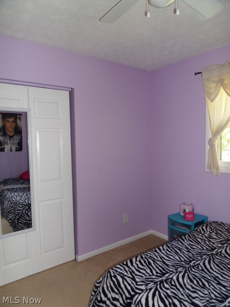 224 Rustic Rook Road Chippewa Lake, OH 44215 - Photo 11 of 19 Gallery Image 11