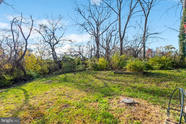 a view of backyard with green space