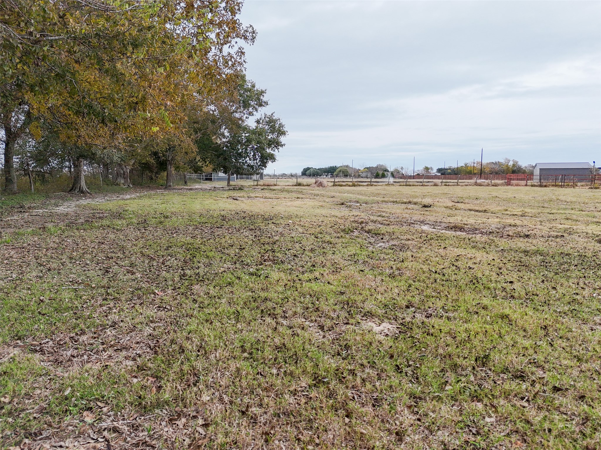 10630 Padon Road Needville, TX 77461 - Photo 44 of 50 Open pasture view highlights level land bordered by mature trees. The space offers versatility for grazing, riding, or future improvements.