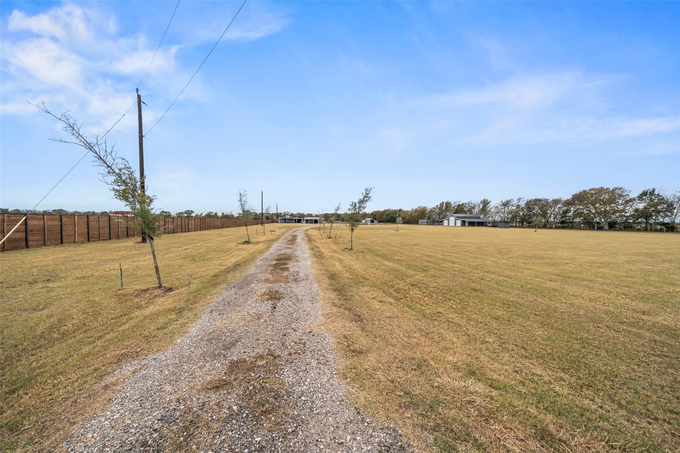 10630 Padon Road Needville, TX 77461 - Photo 45 of 50 Extended private drive leads through open, level pasture, offering a clear sense of scale and usability. Mature fencing and established access add everyday functionality.