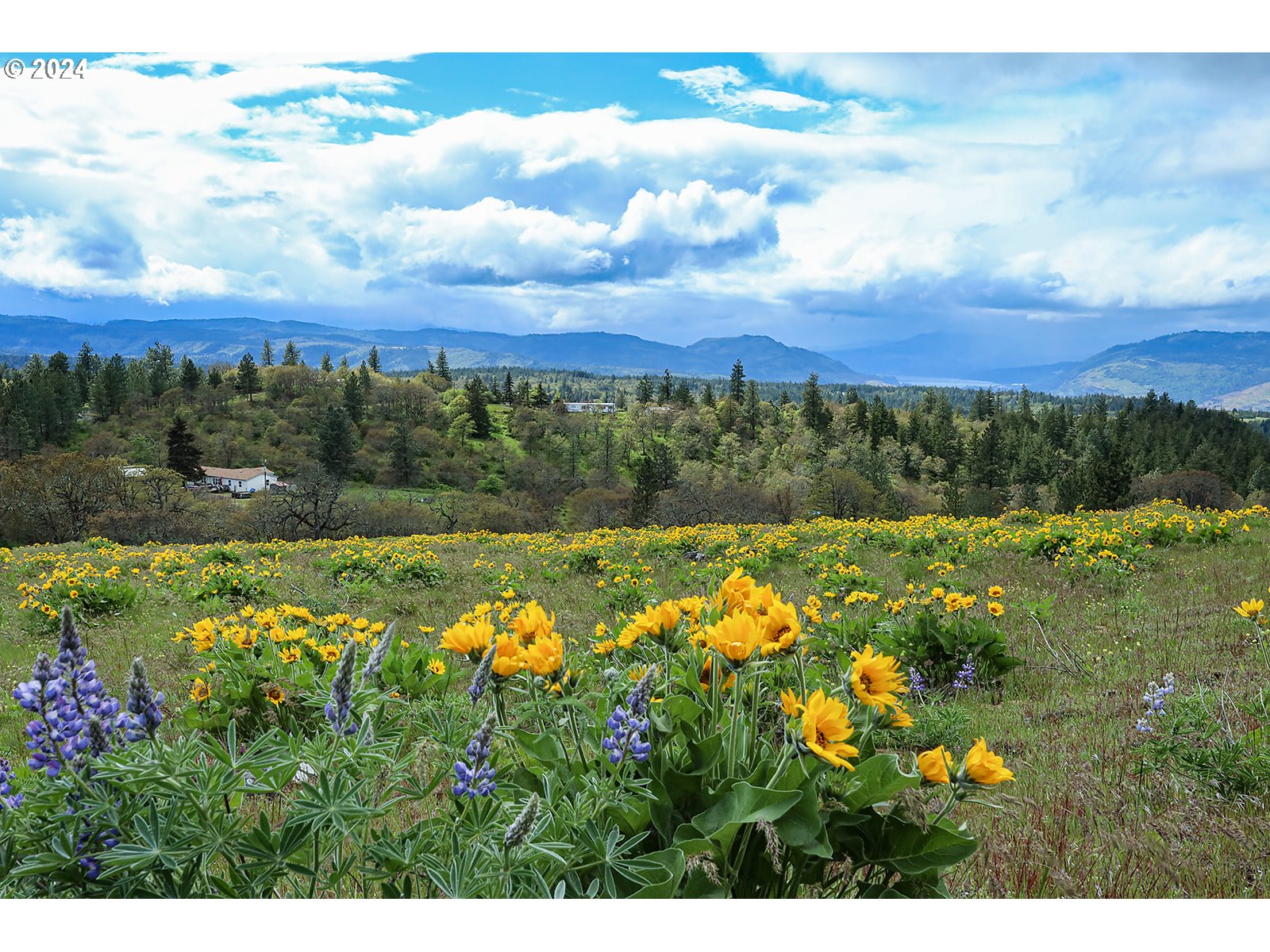 Martin Road The Dalles, OR 97058 - Photo 1 of 24 Gallery Image 1