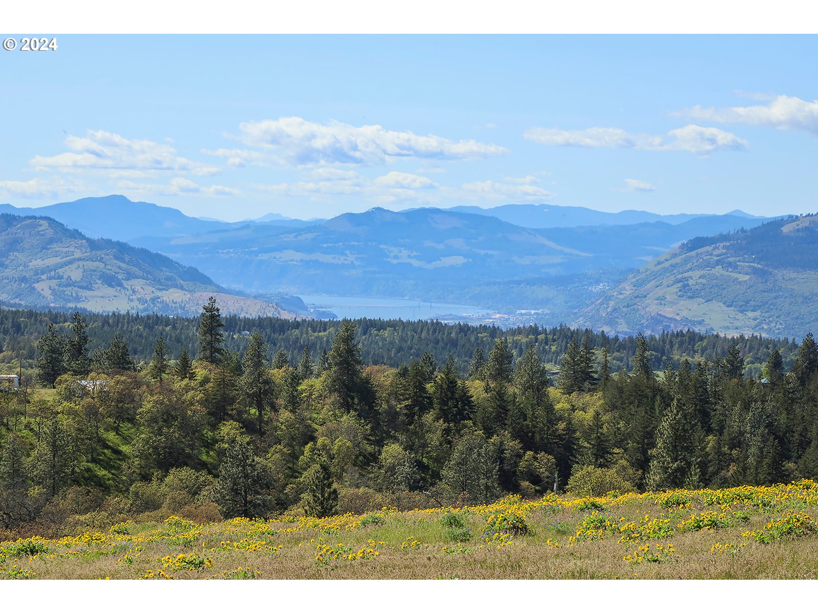 Martin Road The Dalles, OR 97058 - Photo 2 of 24 Gallery Image 2