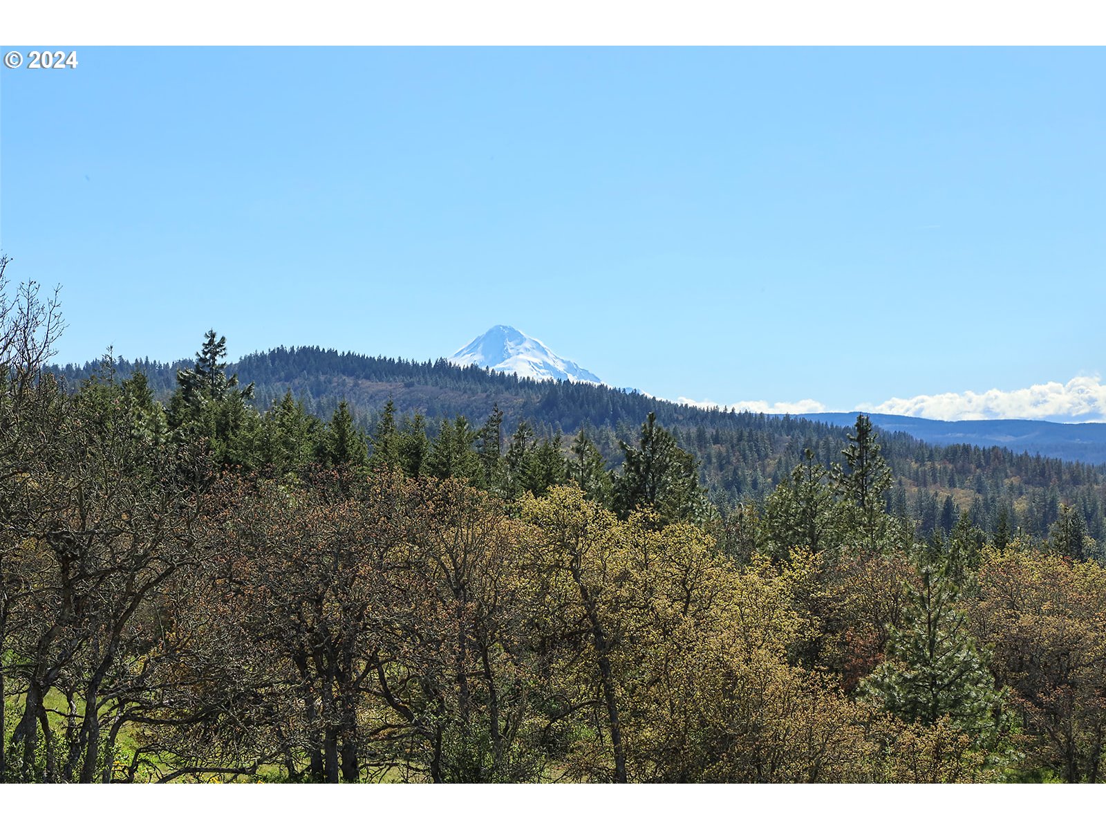 Martin Road The Dalles, OR 97058 - Photo 3 of 24 Gallery Image 3