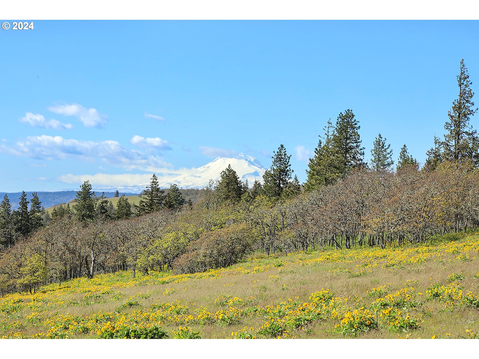Martin Road The Dalles, OR 97058 - Photo 4 of 24 Gallery Image 4