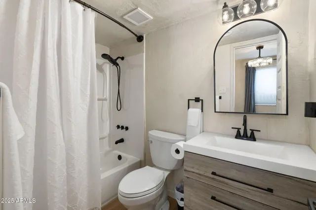 a bathroom with a toilet a sink a mirror a shower and vanity