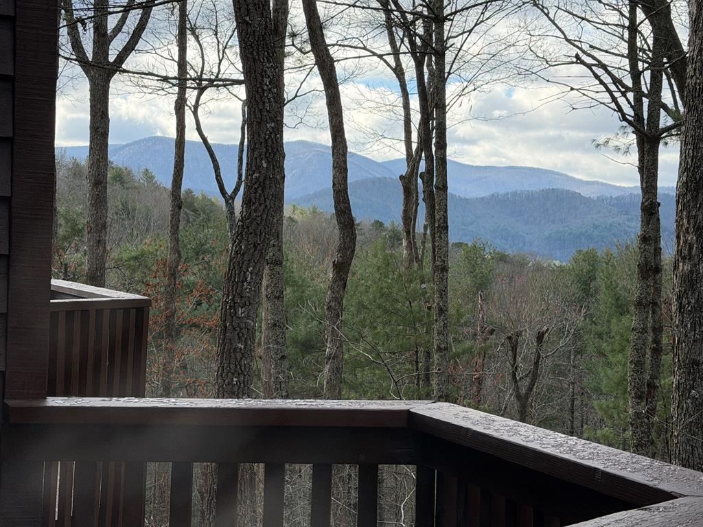 1183 Bear Paw Trail Blue Ridge, GA 30513 - Photo 34 of 73 Multiple Layered Mountain View