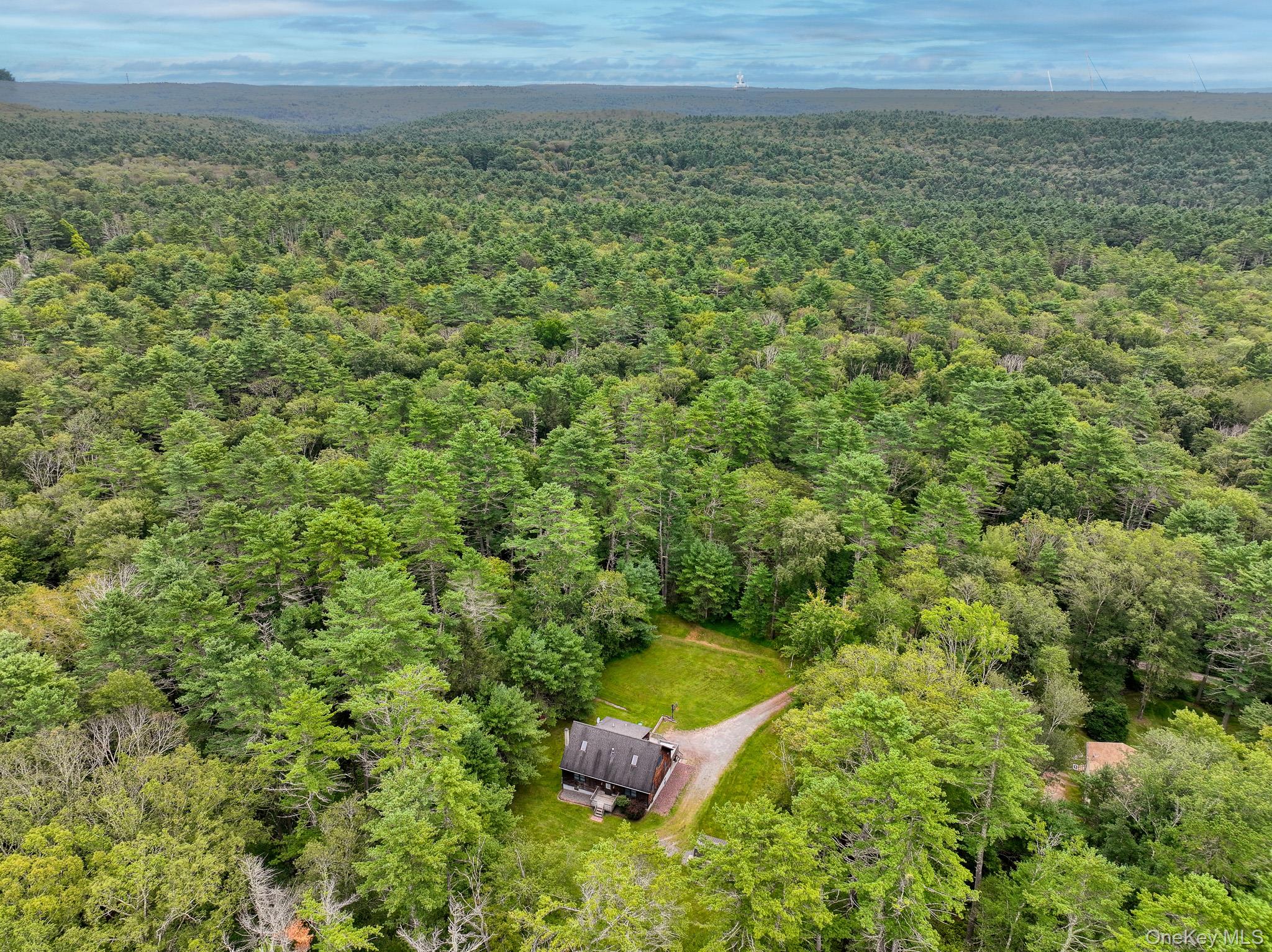 160 Barryville - Yulan Road Barryville, NY 12719 - Photo 30 of 38 Bird's eye view of a forest
