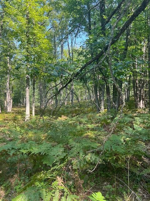 19.8-acres East Pere Cheney Road Roscommon, MI 48653 - Photo 10 of 11 Gallery Image 10