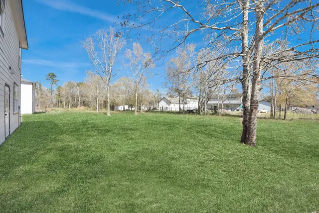 a view of yard with trees