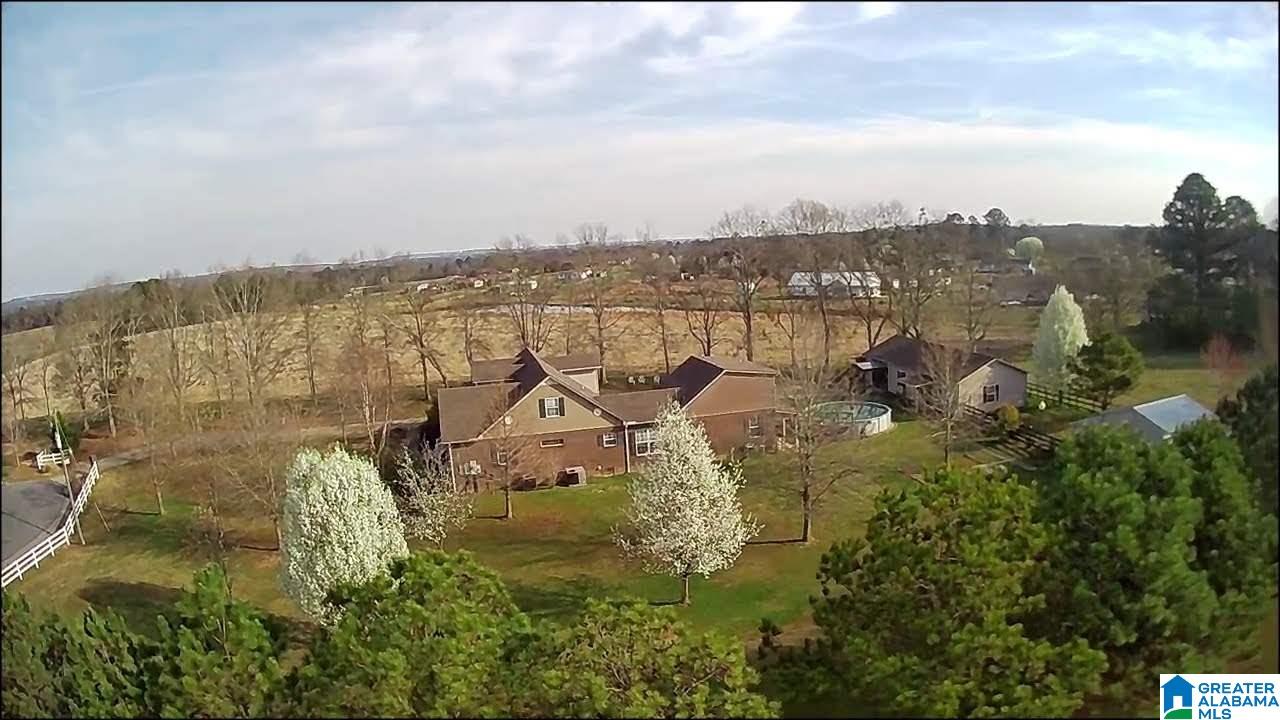 274 Lee Ridge Drive Altoona, AL 35952 - Photo 39 of 49