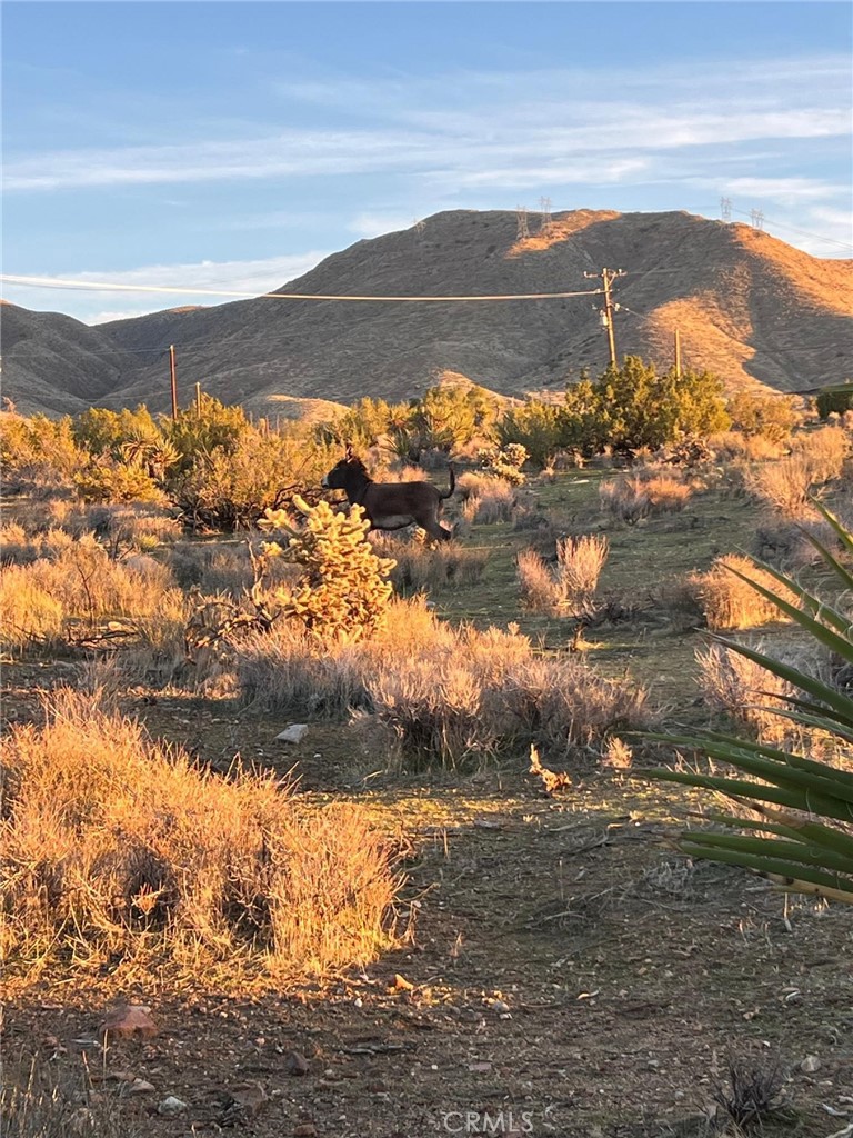 20240 Juniper Road Apple Valley, CA 92308 - Photo 24 of 25 a view of ocean