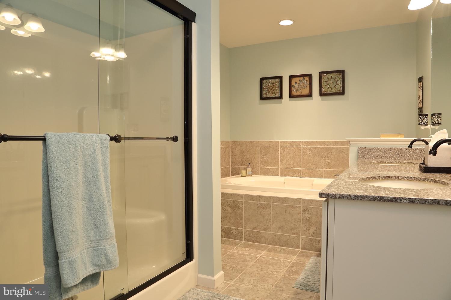 134 River Birch Drive Lititz, PA 17543 - Photo 19 of 27 Second floor master bath with over-sized shower