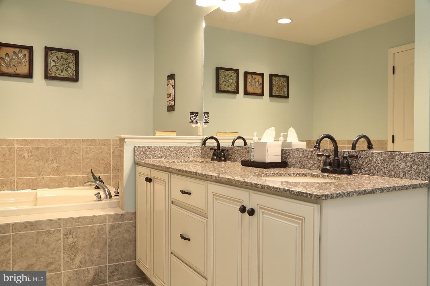 134 River Birch Drive Lititz, PA 17543 - Photo 20 of 27 Second floor master bath with double vanity