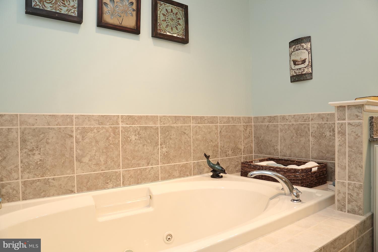 134 River Birch Drive Lititz, PA 17543 - Photo 21 of 27 Second floor master bath with Jacuzzi tub
