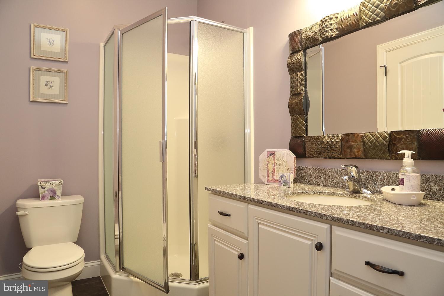 134 River Birch Drive Lititz, PA 17543 - Photo 26 of 27 Downstairs master bath