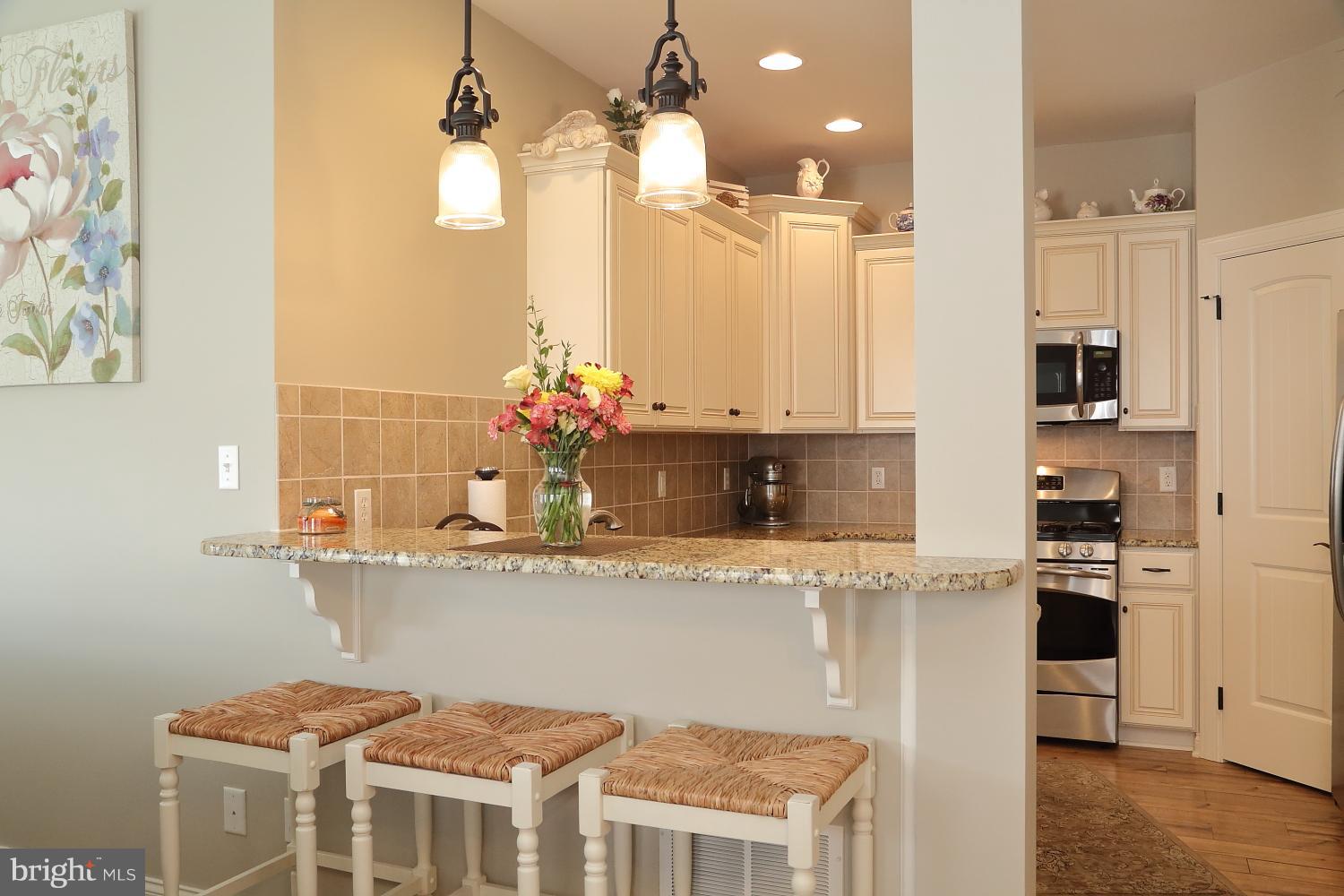 134 River Birch Drive Lititz, PA 17543 - Photo 7 of 27 Breakfast bar