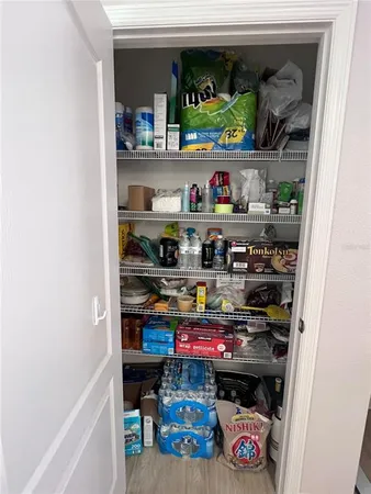 $2,300 | 10120 Hawk Storm Avenue, Tampa, FL 33610