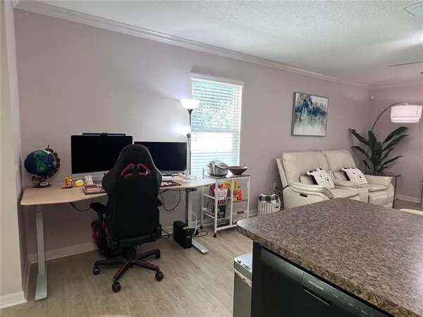 $2,300 | 10120 Hawk Storm Avenue, Tampa, FL 33610