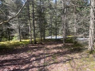 0 Swinyer Road Vermontville, NY 12989 - Photo 19 of 24 Gallery Image 19