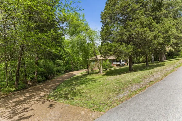 a view of a yard with plants and trees