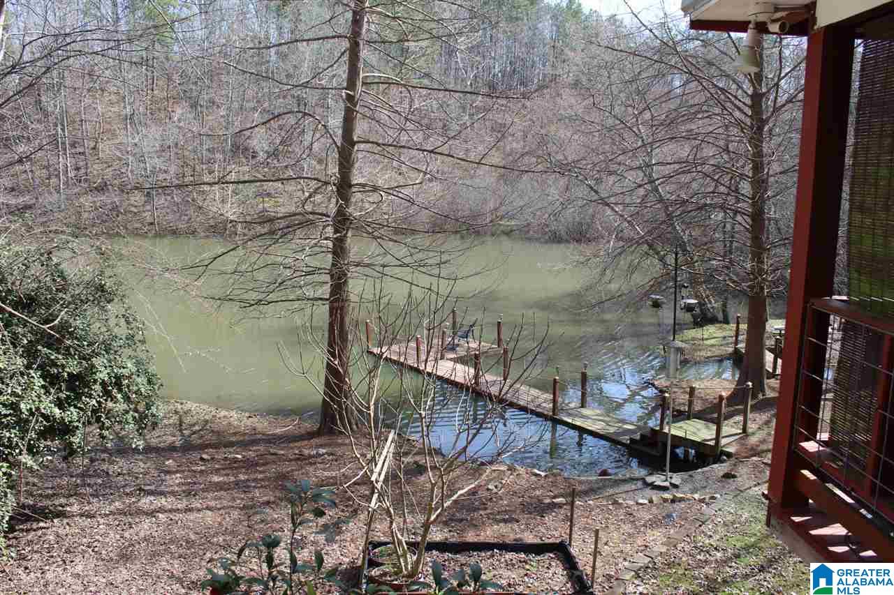 281 County Road 929 Delta, AL 36258 - Photo 23 of 49