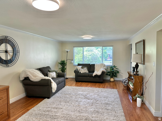 624 East Cutler Springville, UT 84663 - Photo 4 of 24 Spacious living area featuring wood-finish flooring, a large picture window, and crown molding