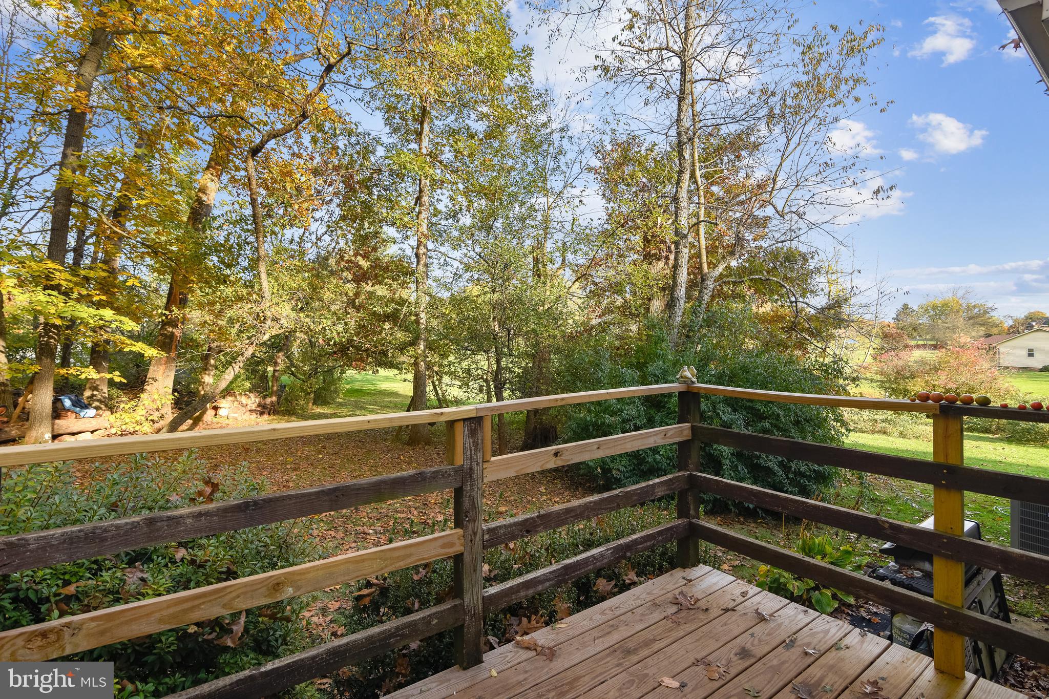 9671 Routts Hill Road Warrenton, VA 20186 - Photo 19 of 46 BACK DECK