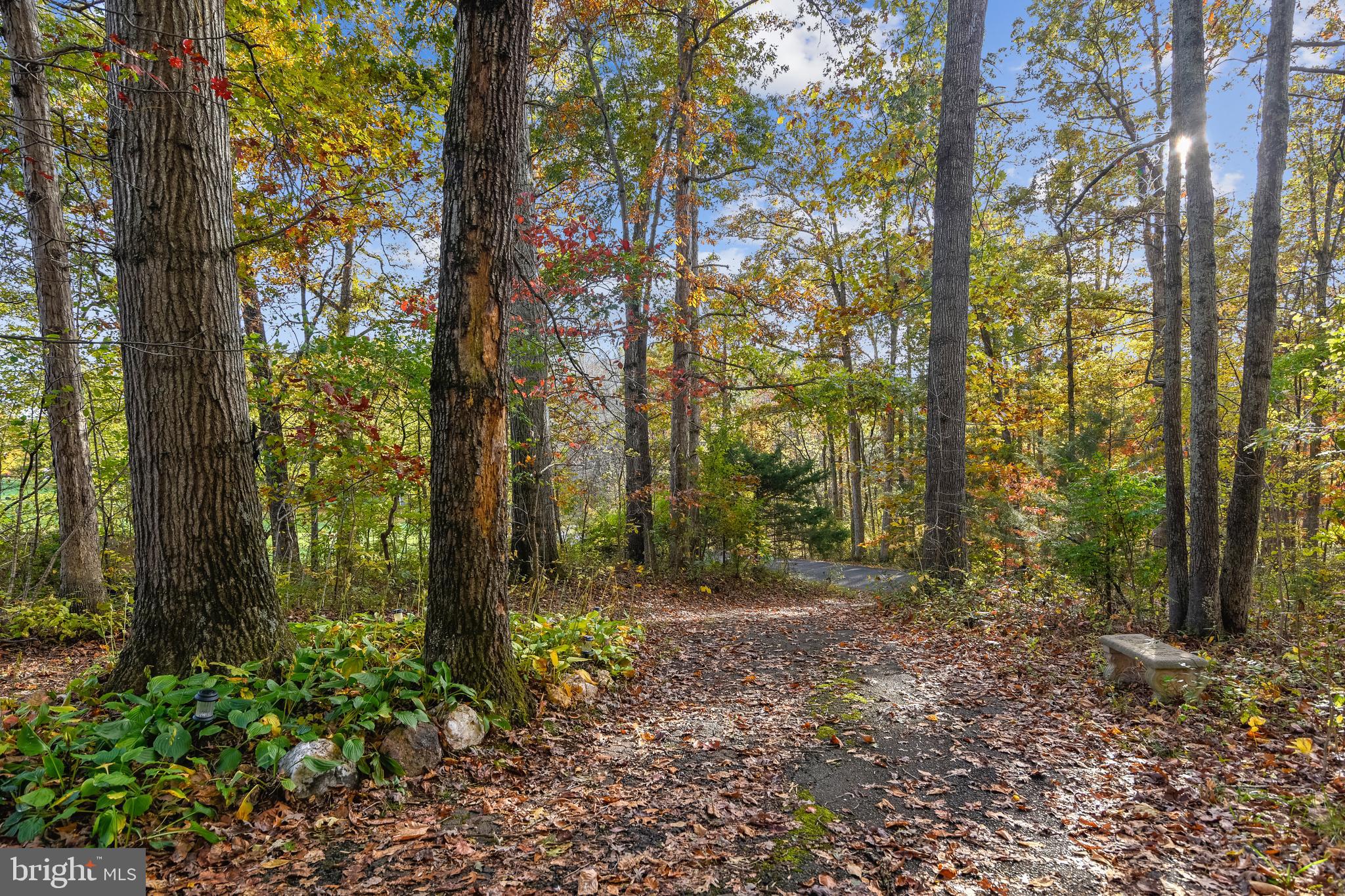 9671 Routts Hill Road Warrenton, VA 20186 - Photo 9 of 46 REAR YARD