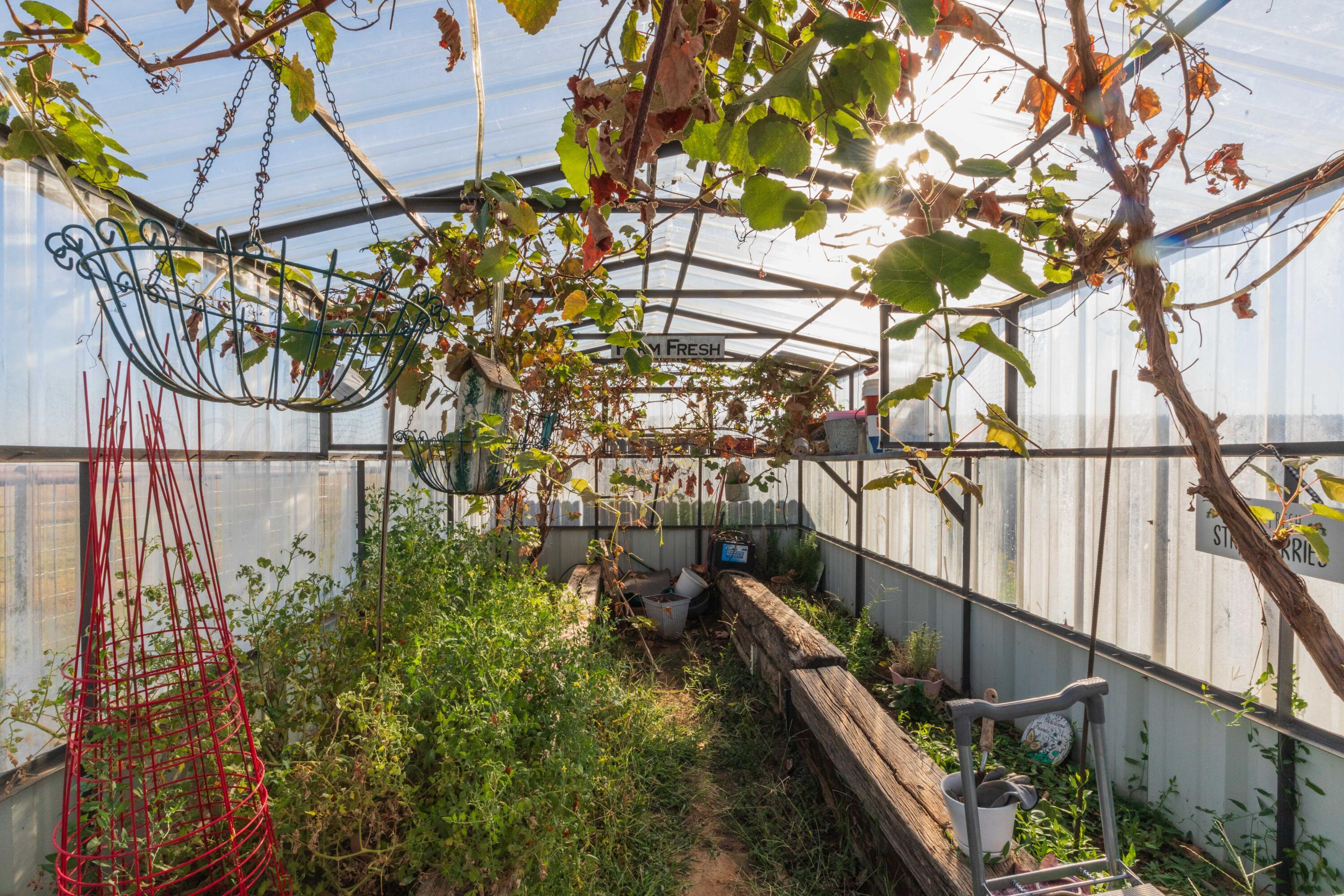 6700 West Dowlen Road Happy, TX 79042 - Photo 46 of 58 GREENHOUSE VIEW 2