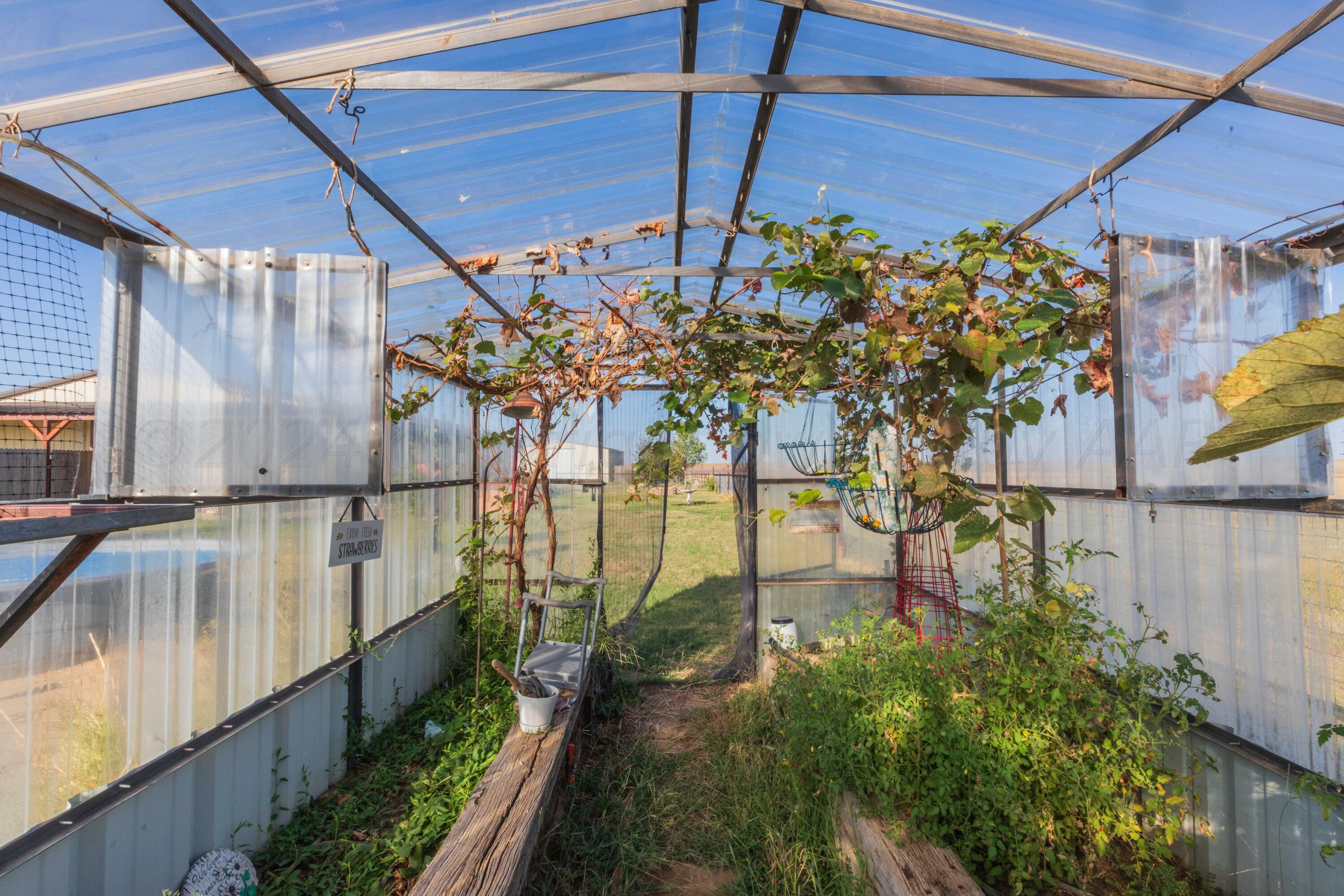 6700 West Dowlen Road Happy, TX 79042 - Photo 47 of 58 GREENHOUSE VIEW 3