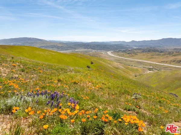 $1,450,000 | 1 Vac Vic Gorman Post Road, Lebec, CA 93243