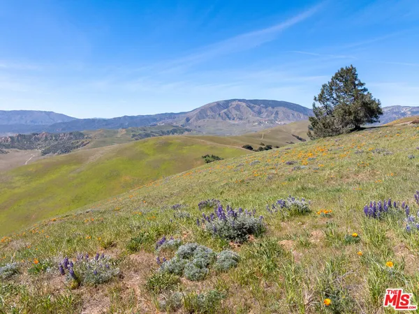 $1,450,000 | 1 Vac Vic Gorman Post Road, Lebec, CA 93243