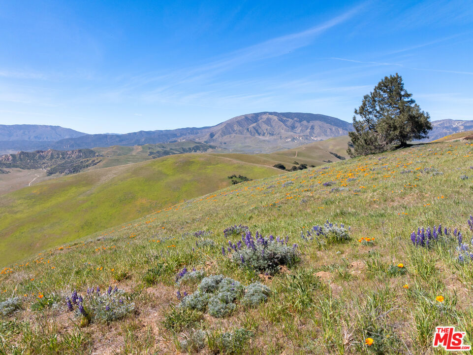 1 Vac Vic Gorman Post Road Lebec, CA 93243 - Photo 32 of 32