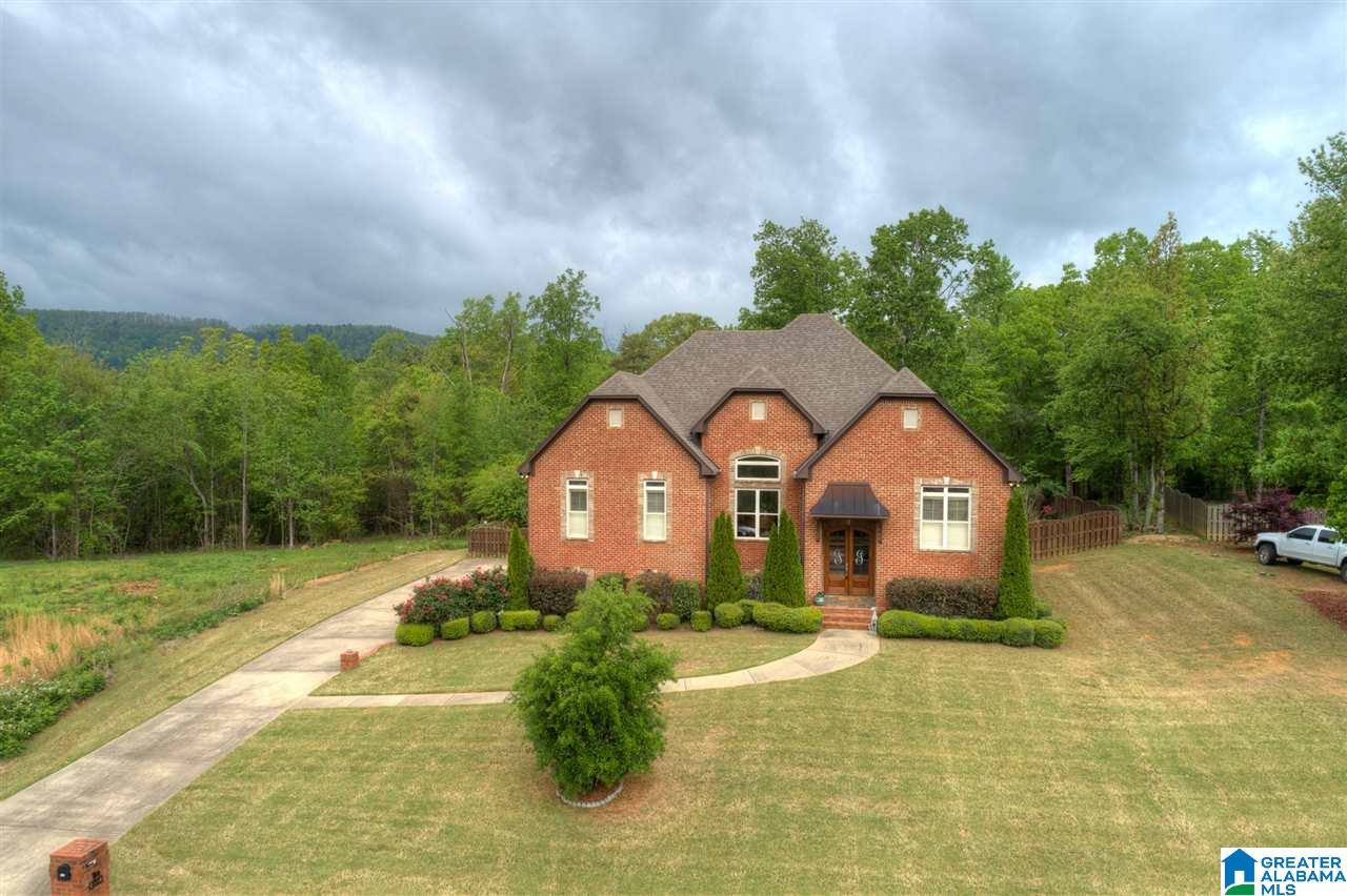452 Ronny Lane Springville, AL 35146 - Photo 3 of 42