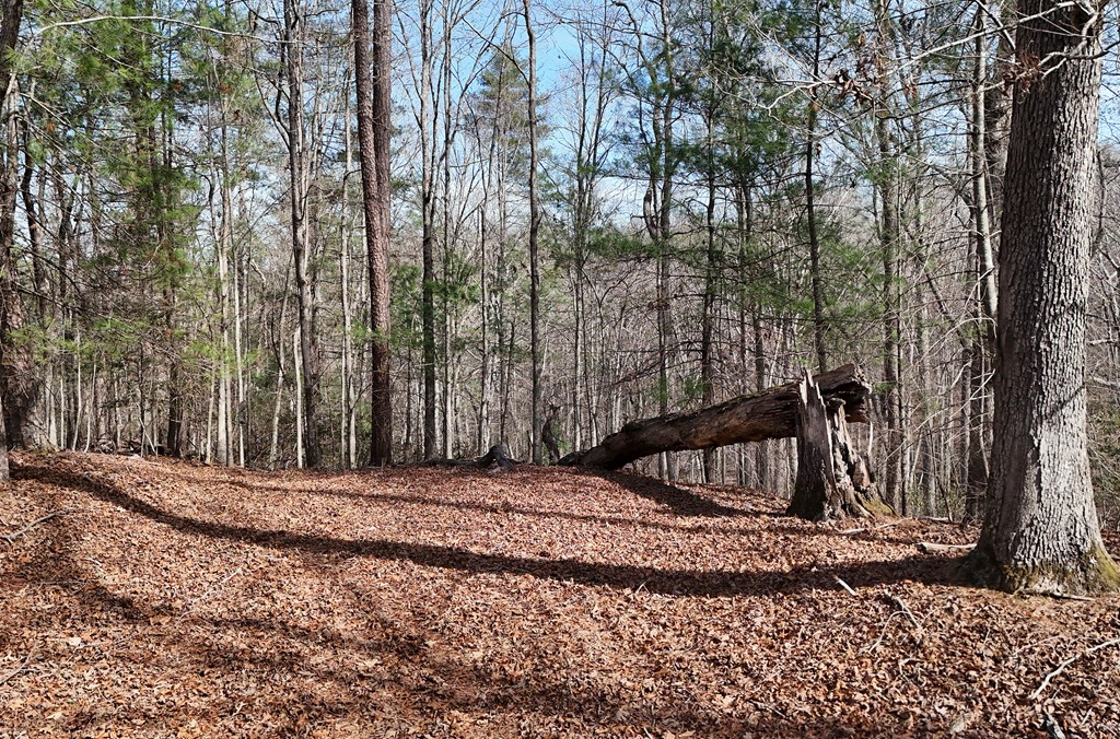 Lot #8 Casa Rio Drive Cornelia, GA 30531 - Photo 13 of 38