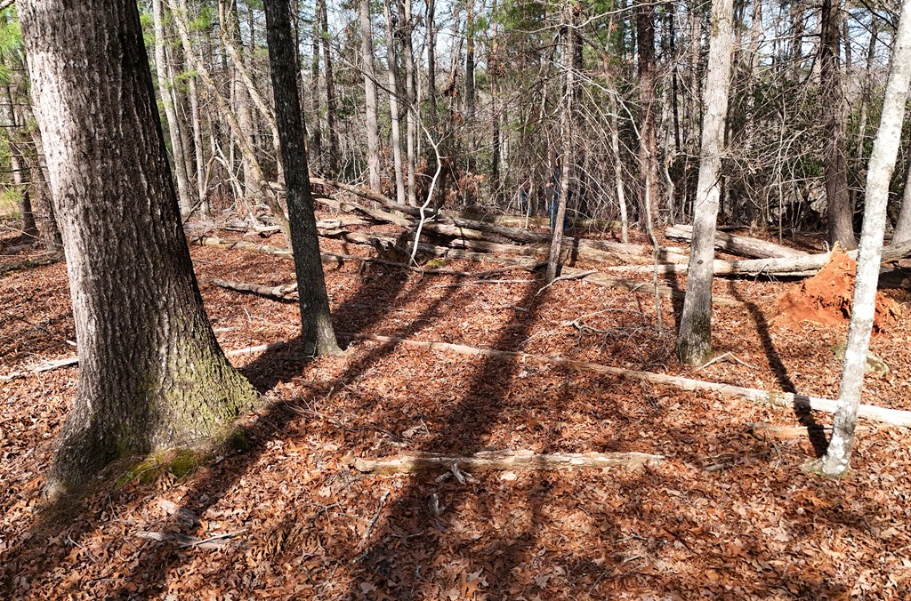 Lot #8 Casa Rio Drive Cornelia, GA 30531 - Photo 14 of 38