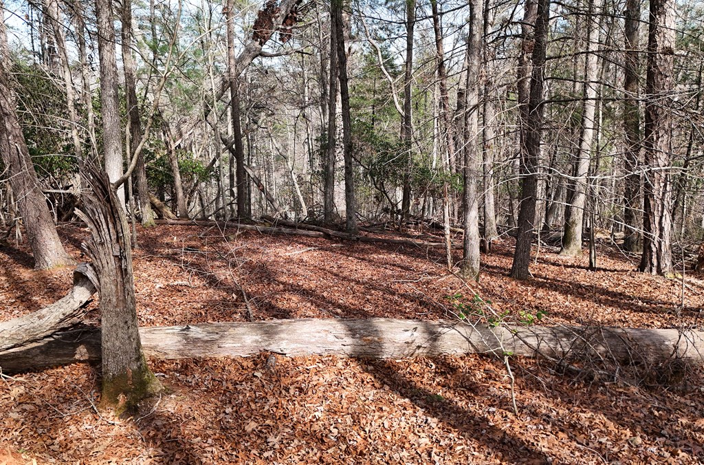 Lot #8 Casa Rio Drive Cornelia, GA 30531 - Photo 15 of 38